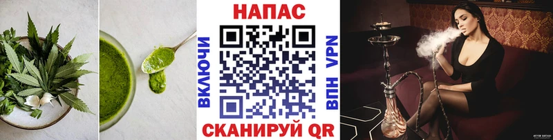 Купить закладки  Оса  Cannafood марихуана 