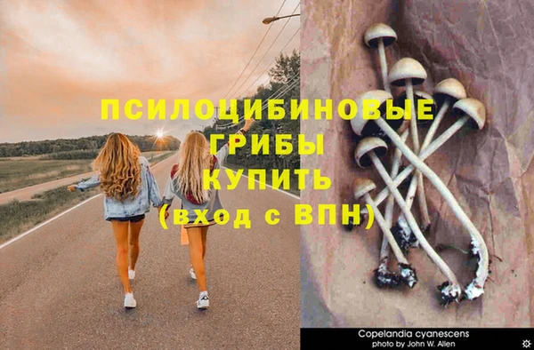 винт Бронницы