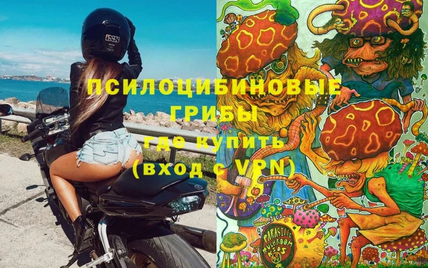 соль курить ск Бородино