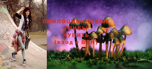 винт Бронницы