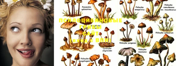 винт Бронницы