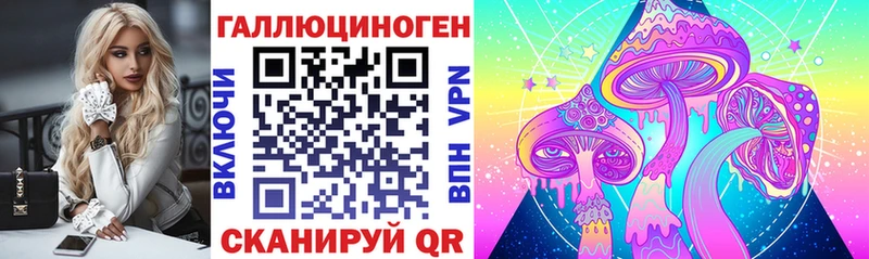 Купить  Оса  Псилоцибиновые грибы GOLDEN TEACHER 